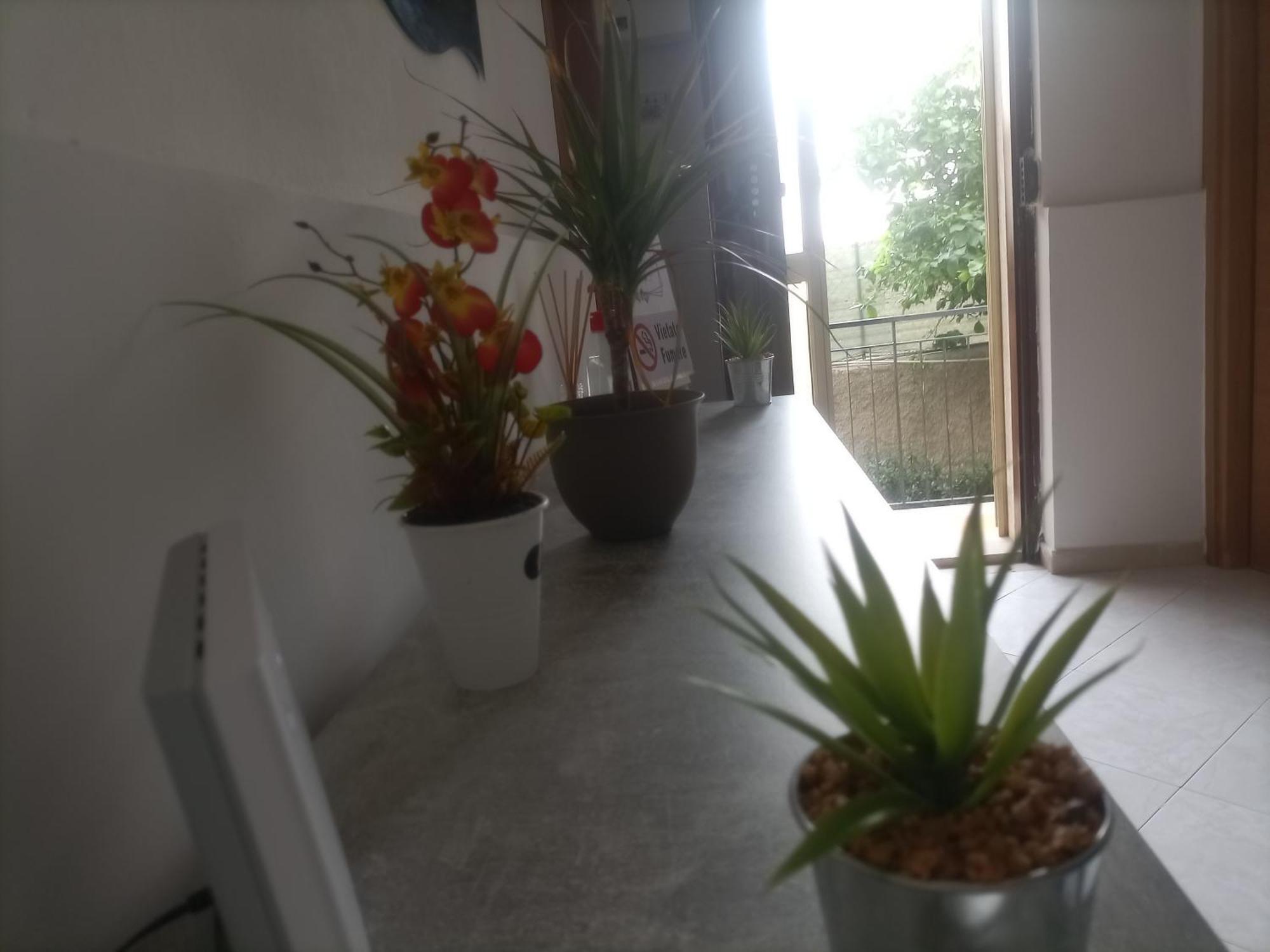 Casa Dalila Apartment Belvedere  Luaran gambar